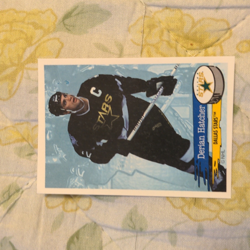 10 for $20 Derian Hatcher Dallas Stars NHL #173 Panini Hockey Sticker